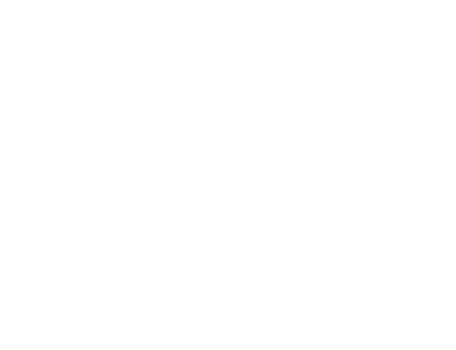 The logo for Cleto Reyes made in Mexico professional boxing equipment.