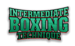 Intermediate Boxing Technique